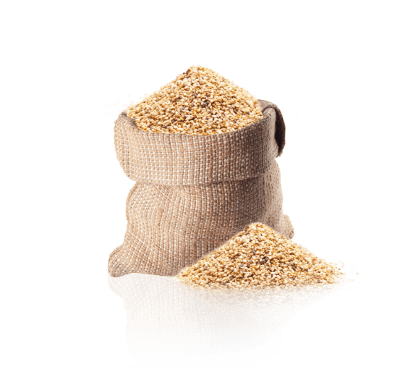 Sesame seeds Sesame seeds
