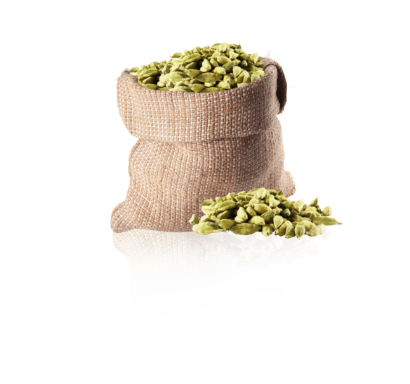 Cardamom